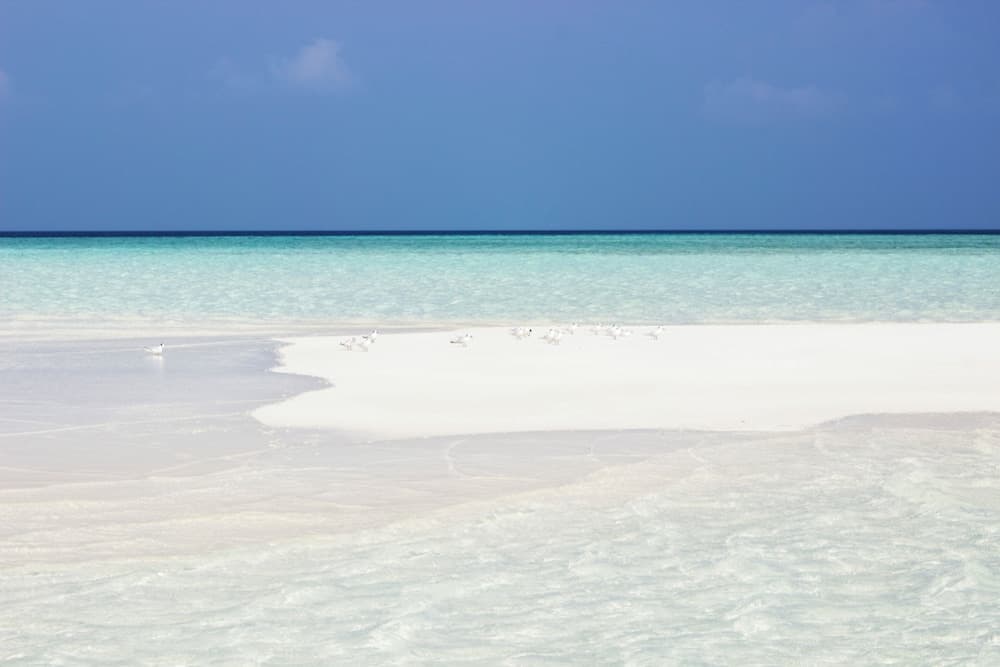 Hakuna Maldives - View 20