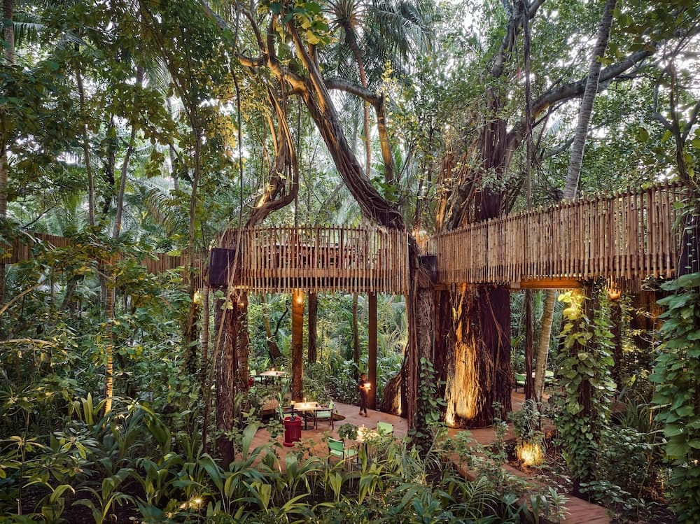 Niyama Private Islands Maldives - View 93