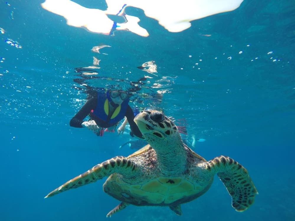 Sunrise Beach and Spa - View 24