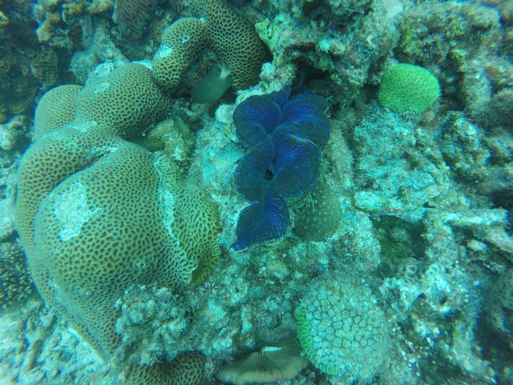 Golhaa View Inn By TES - View 12