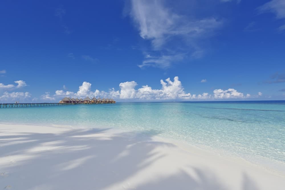 Angaga Island Resort & Spa - View 110