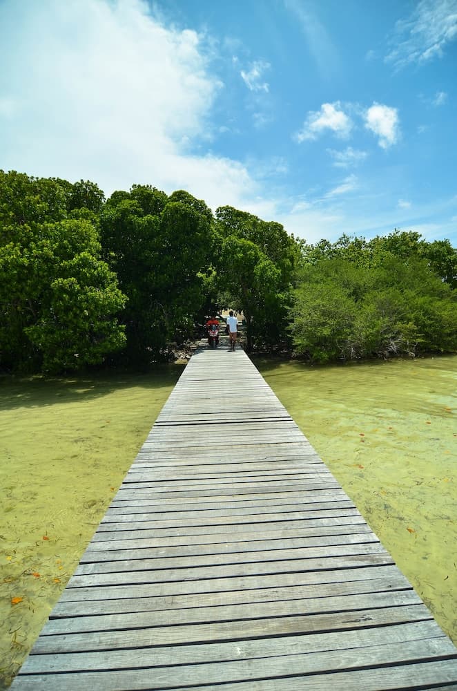 Huraa East Inn - View 5