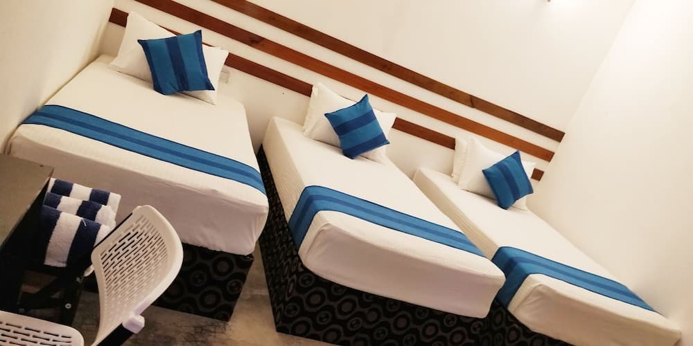 Alkina Lodge - View 8