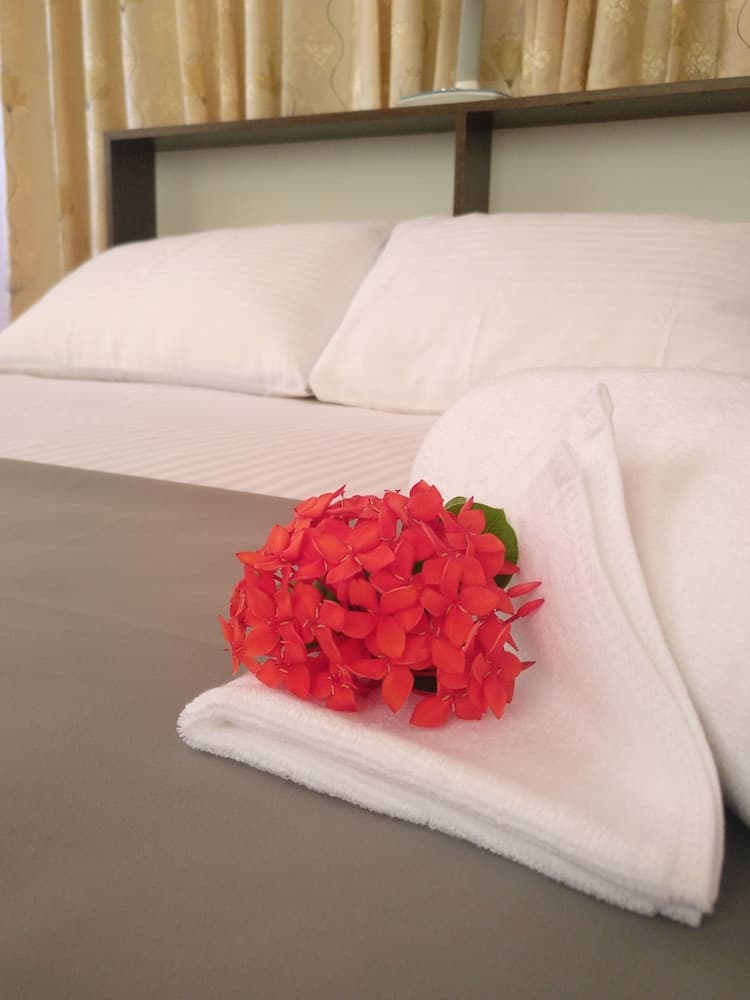 Baivaru Guesthouse Services - View 33