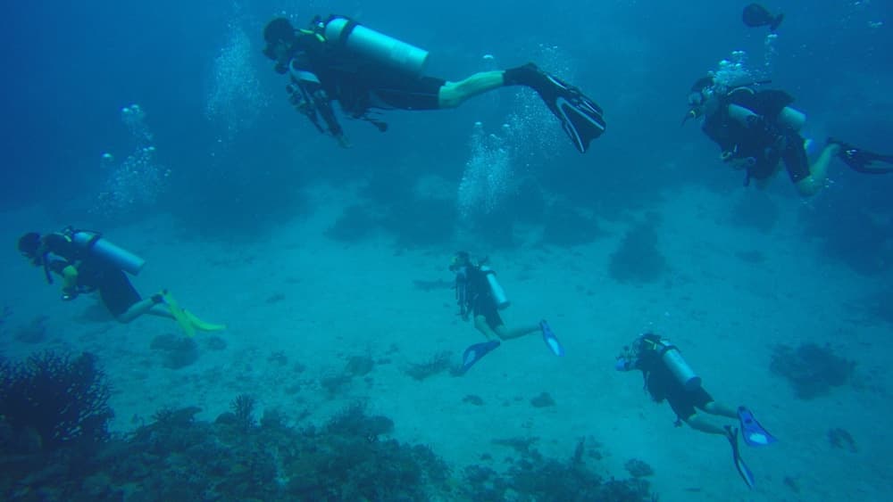 Equa Reef Maldives - View 42