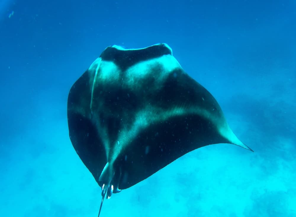 Adroit Beach Inn - View 157