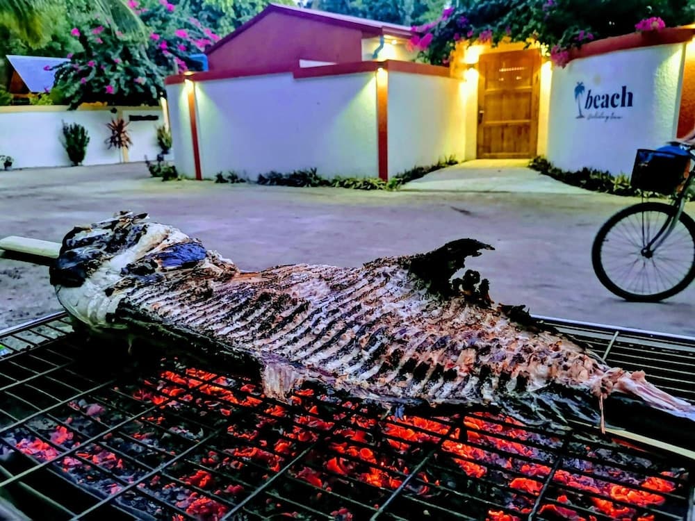 Thoddoo Beach Holiday Inn - View 13