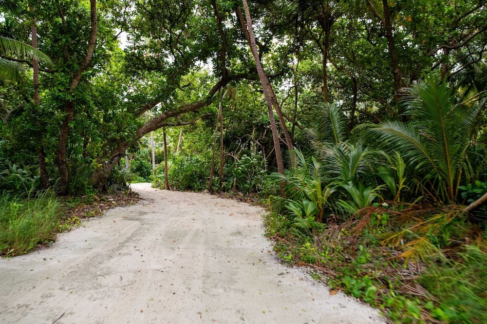 Biosphere Inn Maldives - View 85