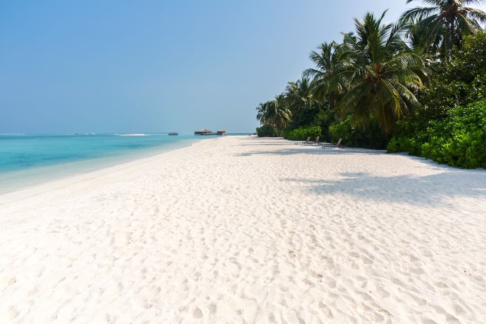 Cocoon Maldives - View 90