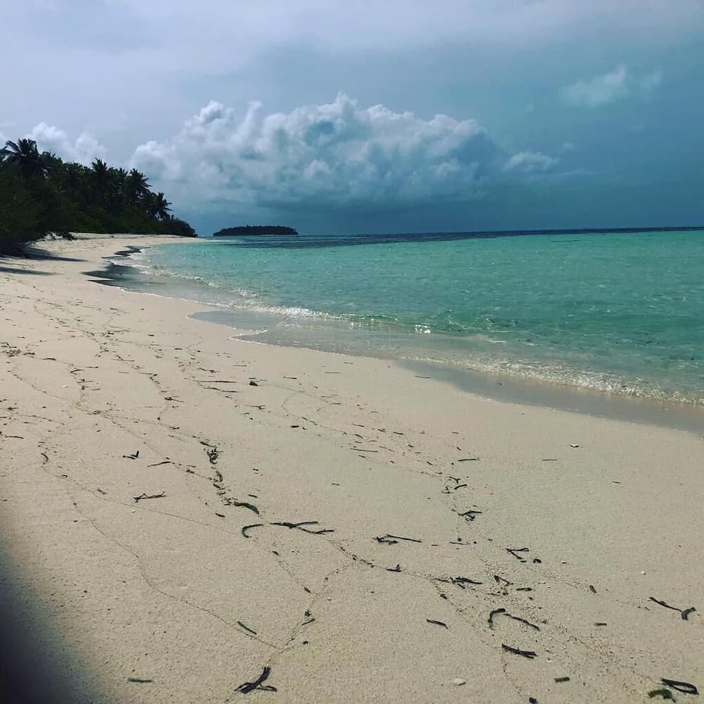 Annama Lodge And Dive - View 54