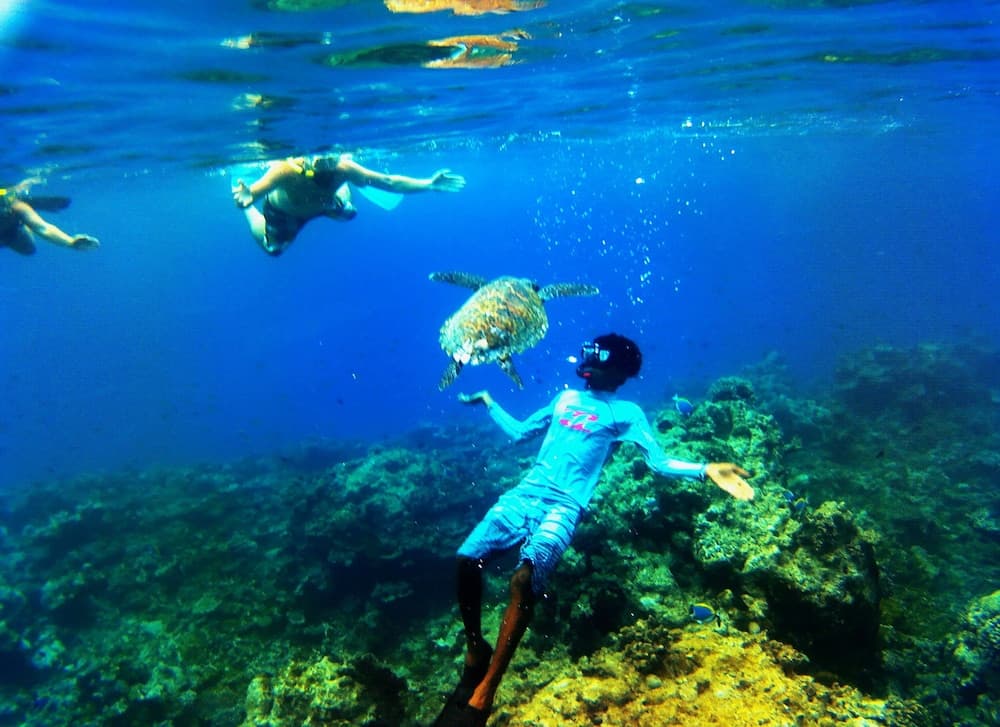 Adroit Beach Inn - View 38