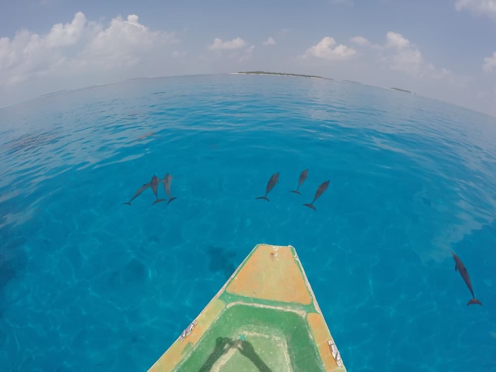 Ithaa Inn Kamadhoo - View 26