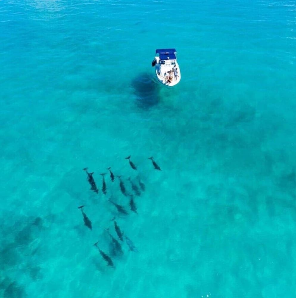 Bibee Maldives - View 182