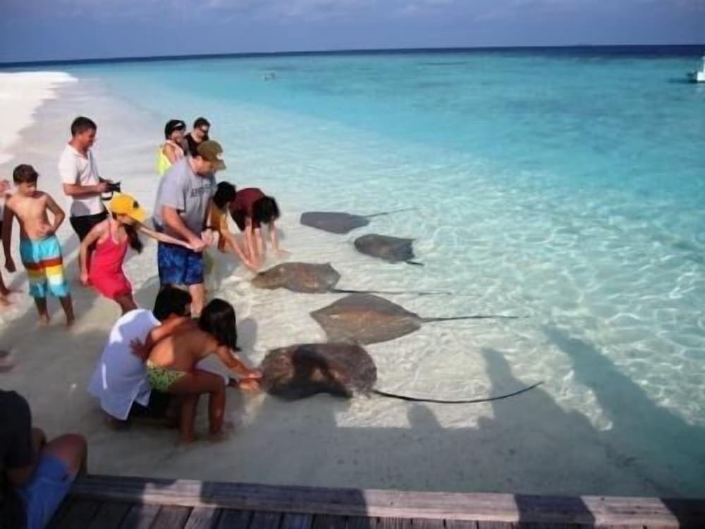 Plus View Maldives - View 4