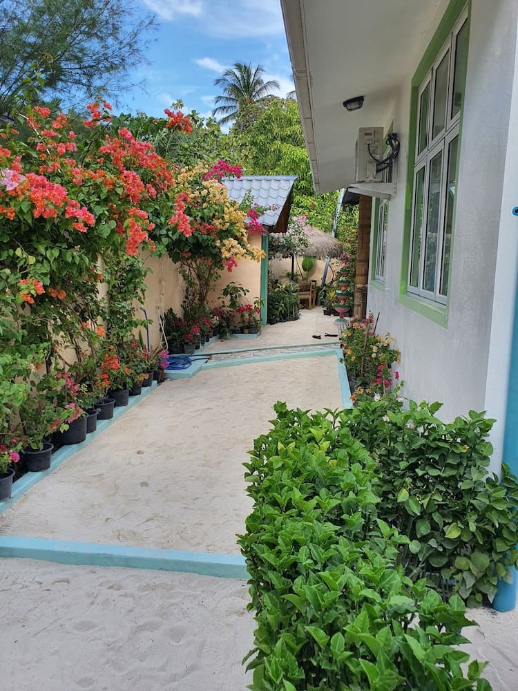 Island Guest - View 68
