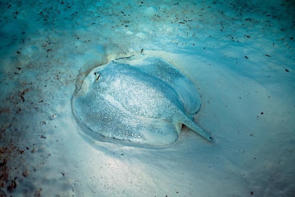 Ocean Village Maldives - View 47