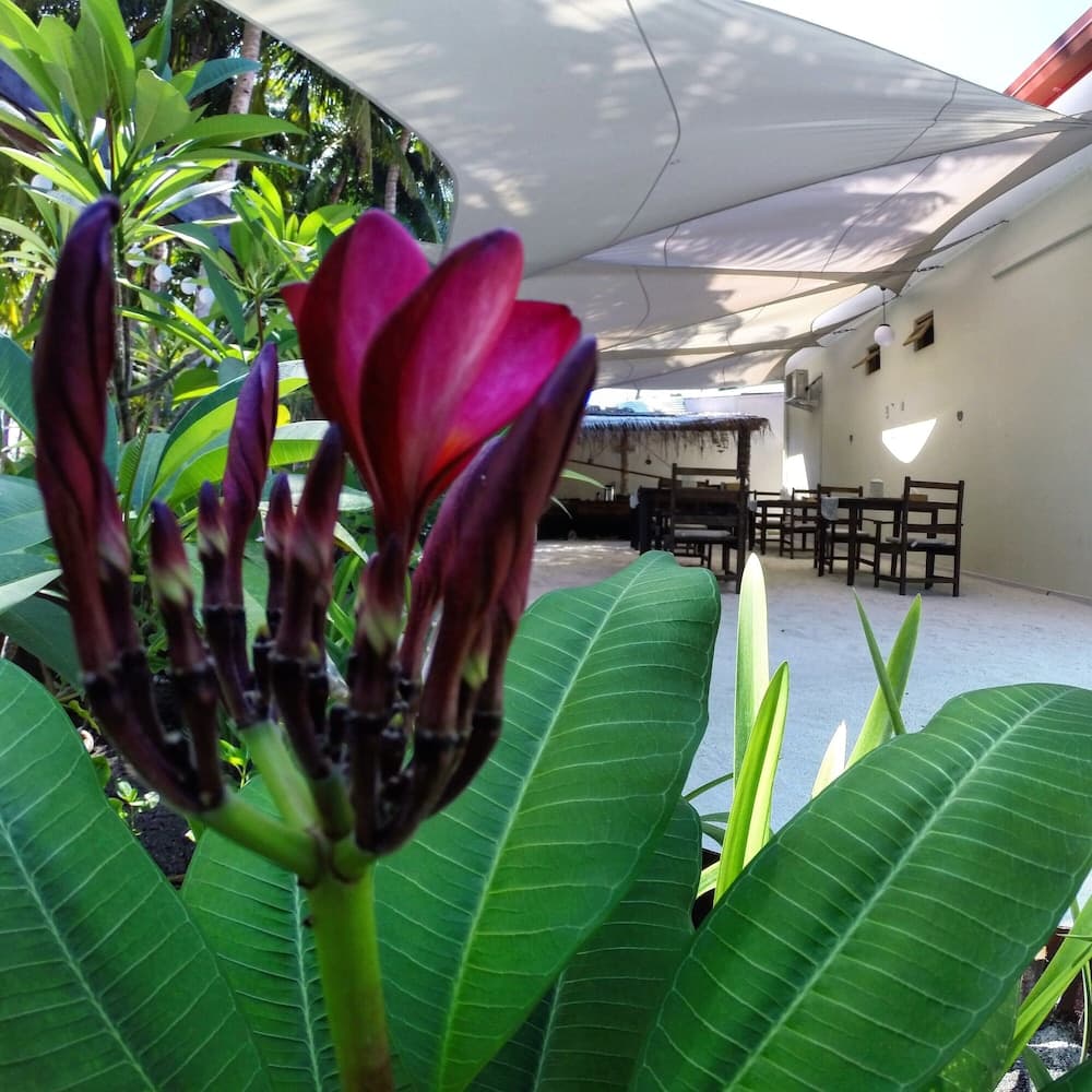 AriVilla Mathiveri - View 26