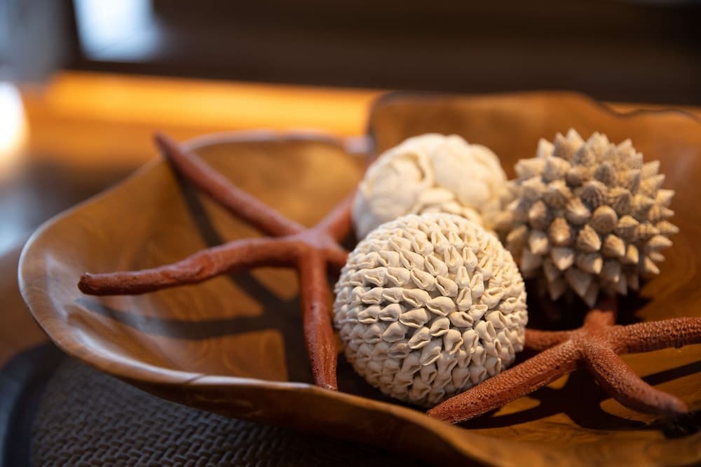 The Halcyon Private Isles Maldives, Autograph Collection - View 49