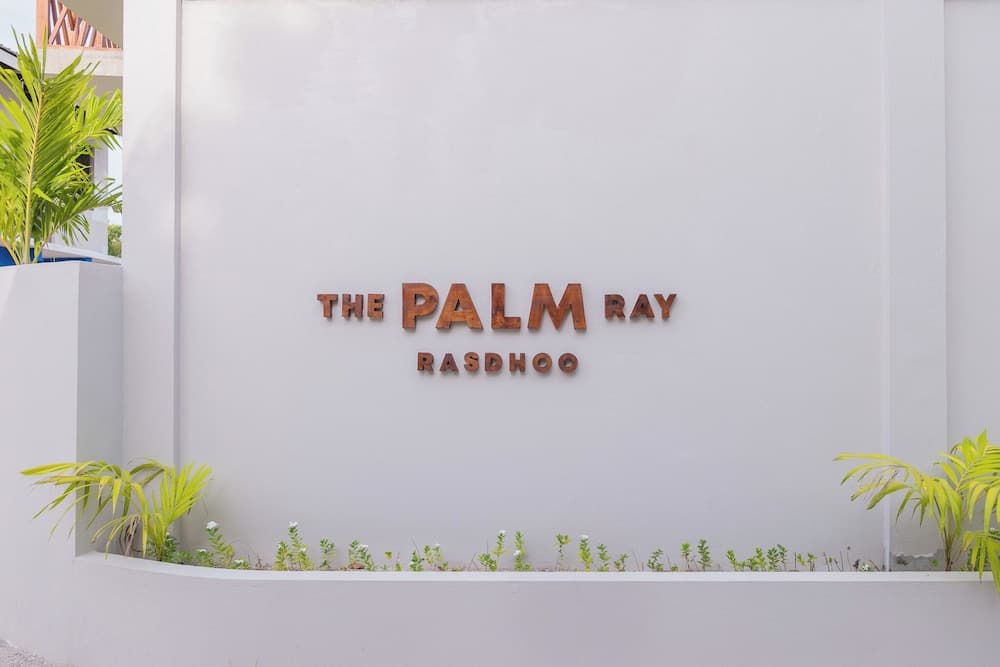 The Palm Ray - View 14