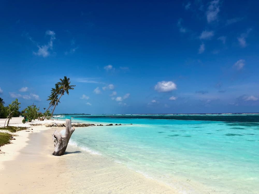 Ocean Vibes Guesthouse - View 22