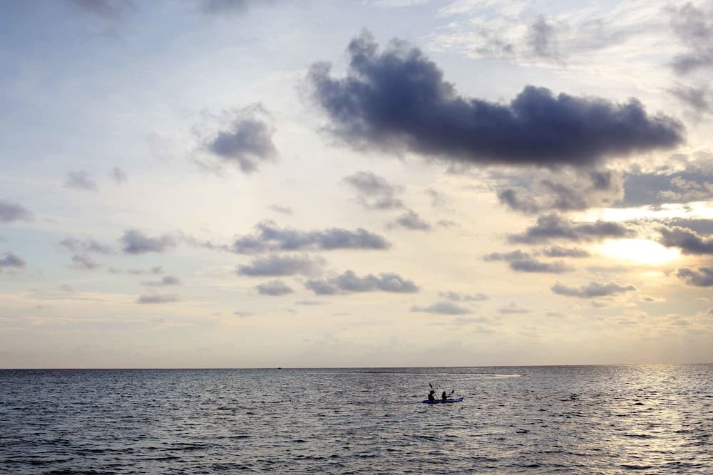 Gangehi Island Resort - View 69