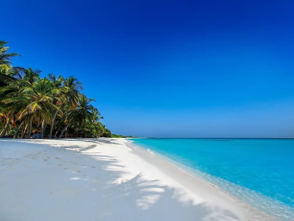 Blue Coral Vashafaru - View 19