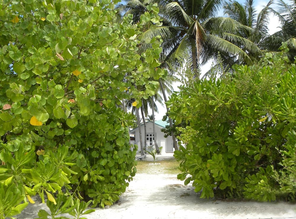 Vaali Maldives Island Escapes & Dive - View 15
