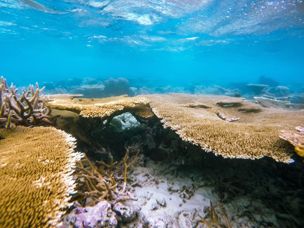 Hide Inn Blue - View 21