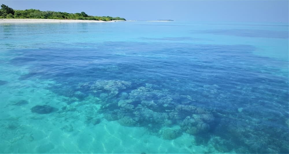 Explore Island Inn - View 16