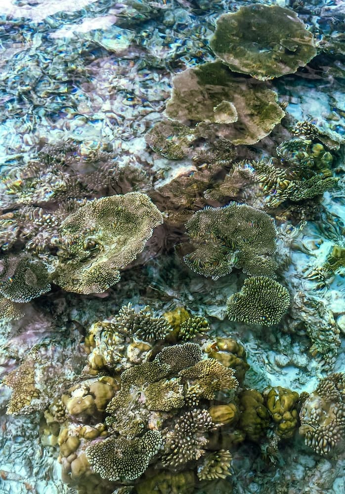 Hide Inn Blue - View 46