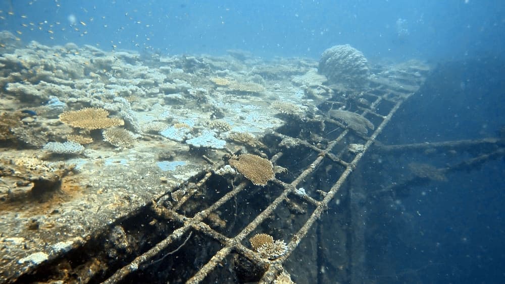 Sea Star Diving - View 13