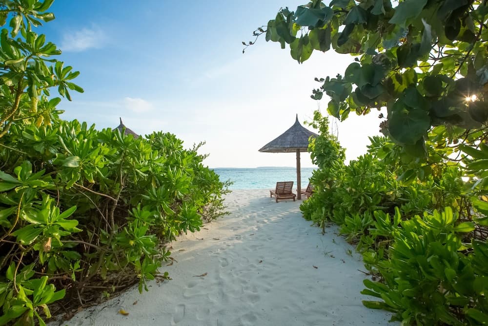 Reethi Faru Resort - View 48