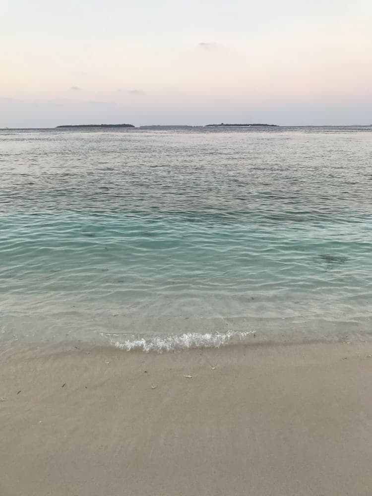 LVIS blancura - View 6