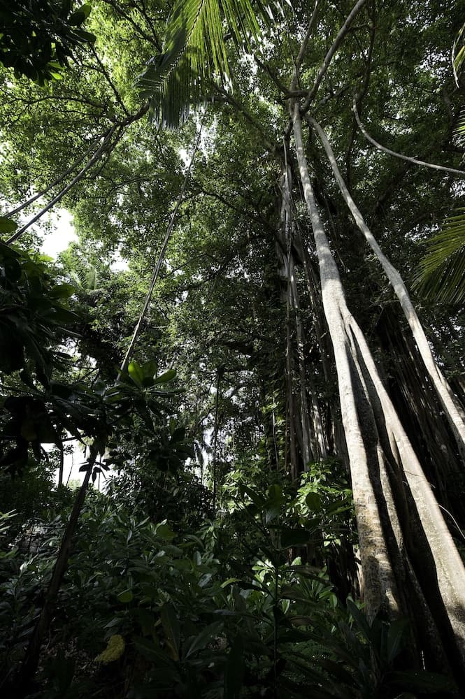 Kuramathi Maldives - View 38