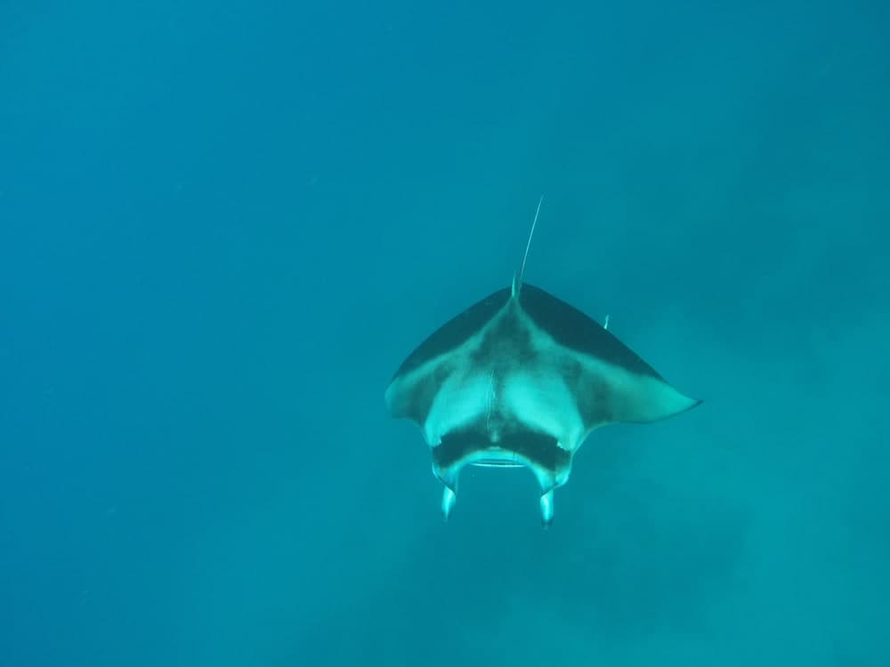 Mathiveri Inn - View 9