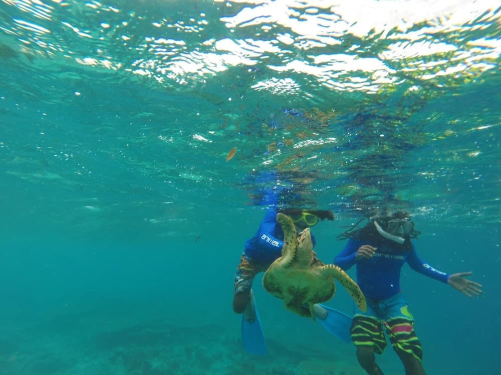 Rasdhoo Coralville - View 42