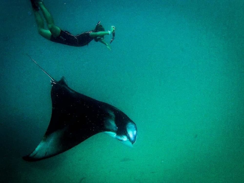 Summer Shade Maldives - View 13