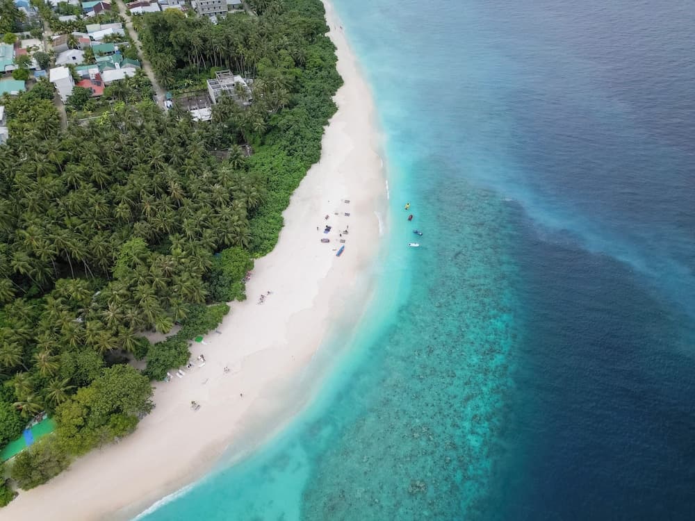 Nest by Hawks Hotels Kamadhoo Baa Atoll - View 7
