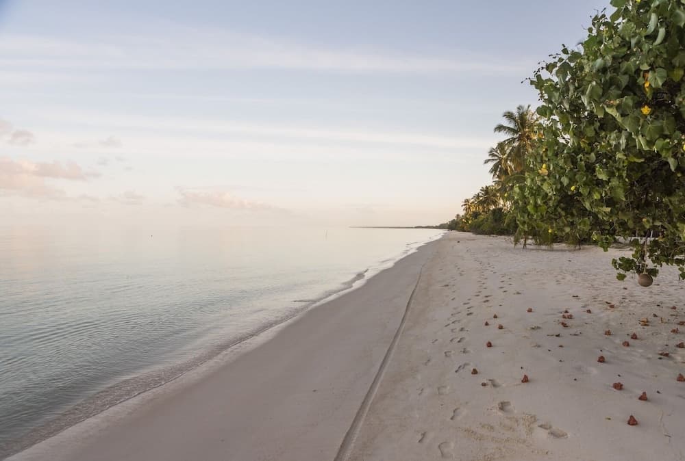 Nazaki Beach Hotel & Spa Maldives - View 34