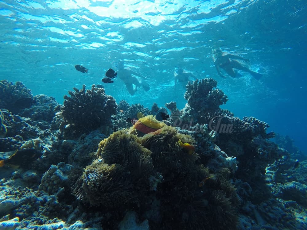 Rasdhoo Relax Inn - View 18