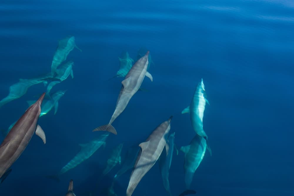 Equator Village - View 29