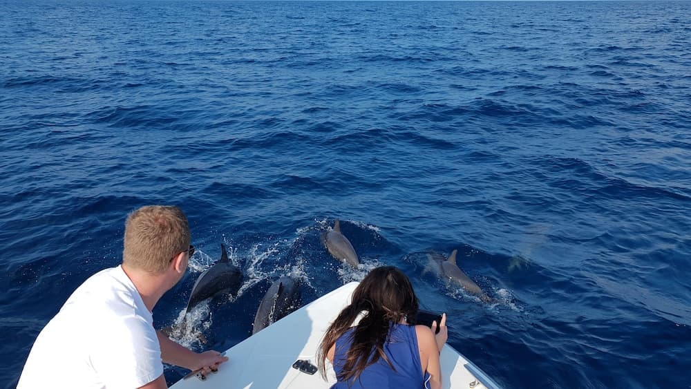 Ukulhas Beach Inn - View 69