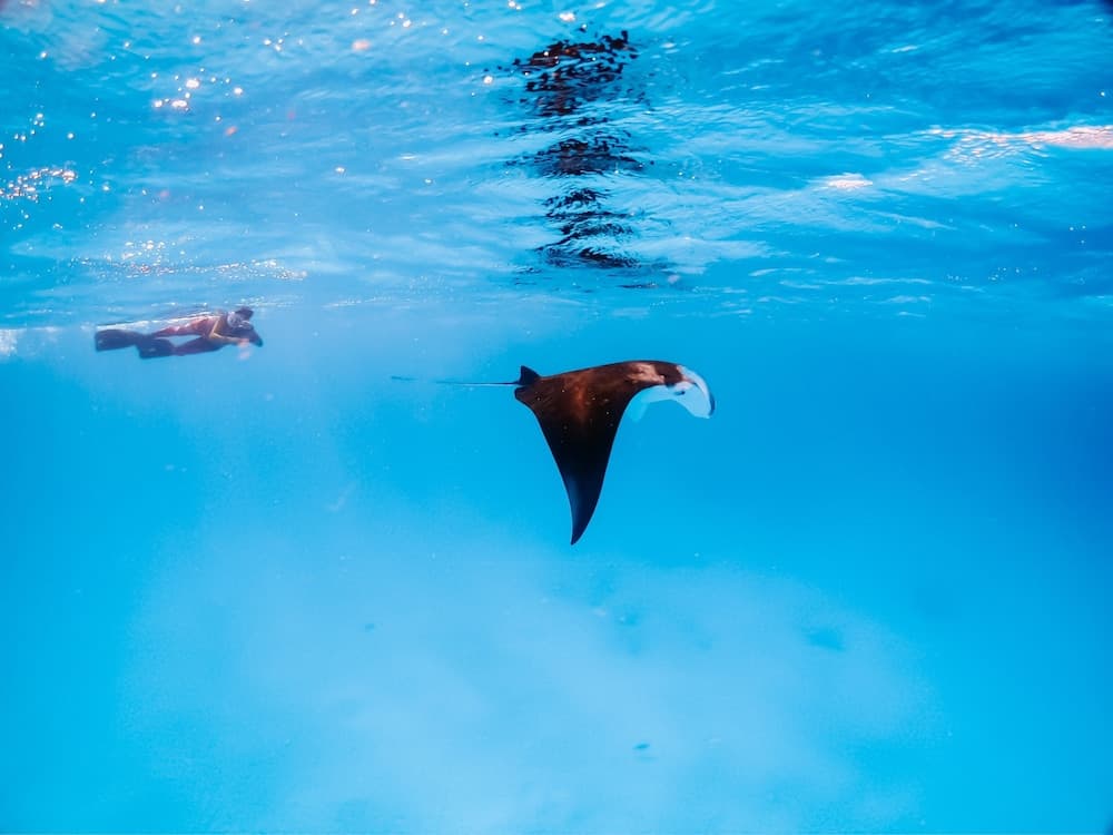 Bliss Dhigurah - View 60