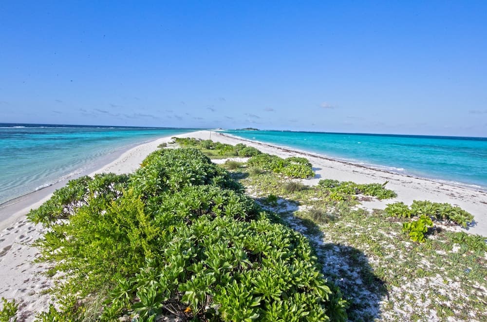 Dhigurah Retreat Beach - View 36