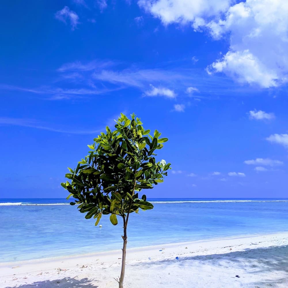 Noomoo Hulhumale - View 9