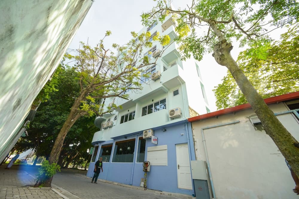 Green Flora - View 47