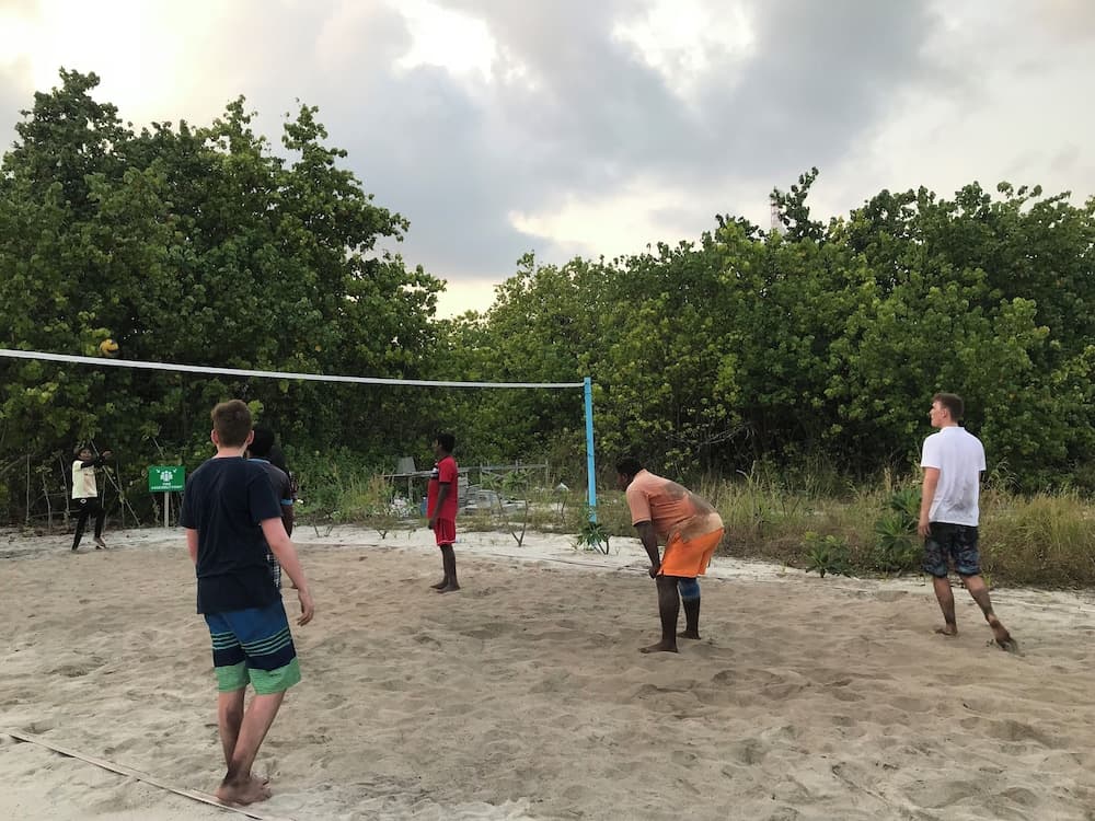 Olive Goidhoo - View 20