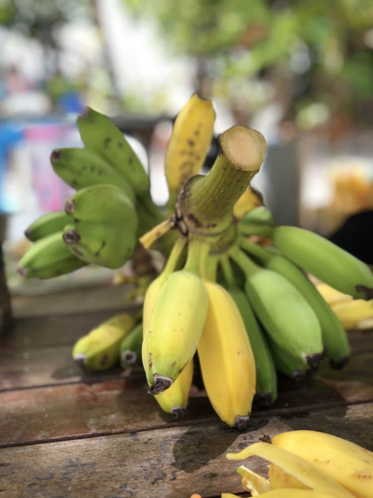 Ocean Vibes Guesthouse - View 15