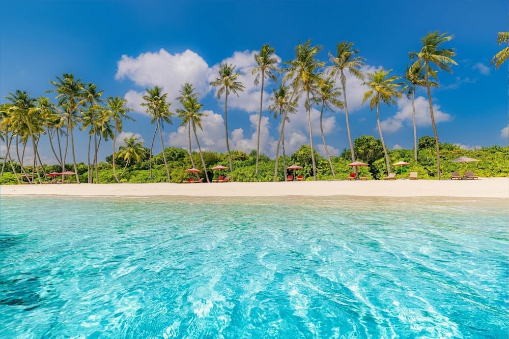 Siyam World Maldives - 24-Hour Premium All-inclusive with Free Transfer - View 45