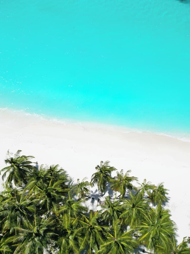 Blue Coral Vashafaru - View 4